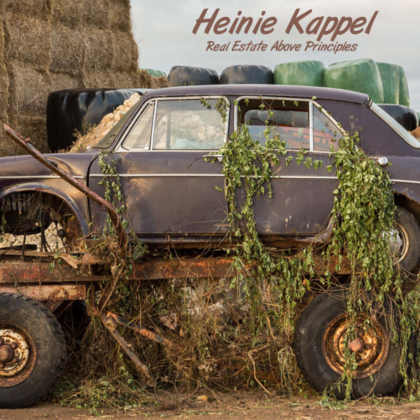 albumcover1.jpg